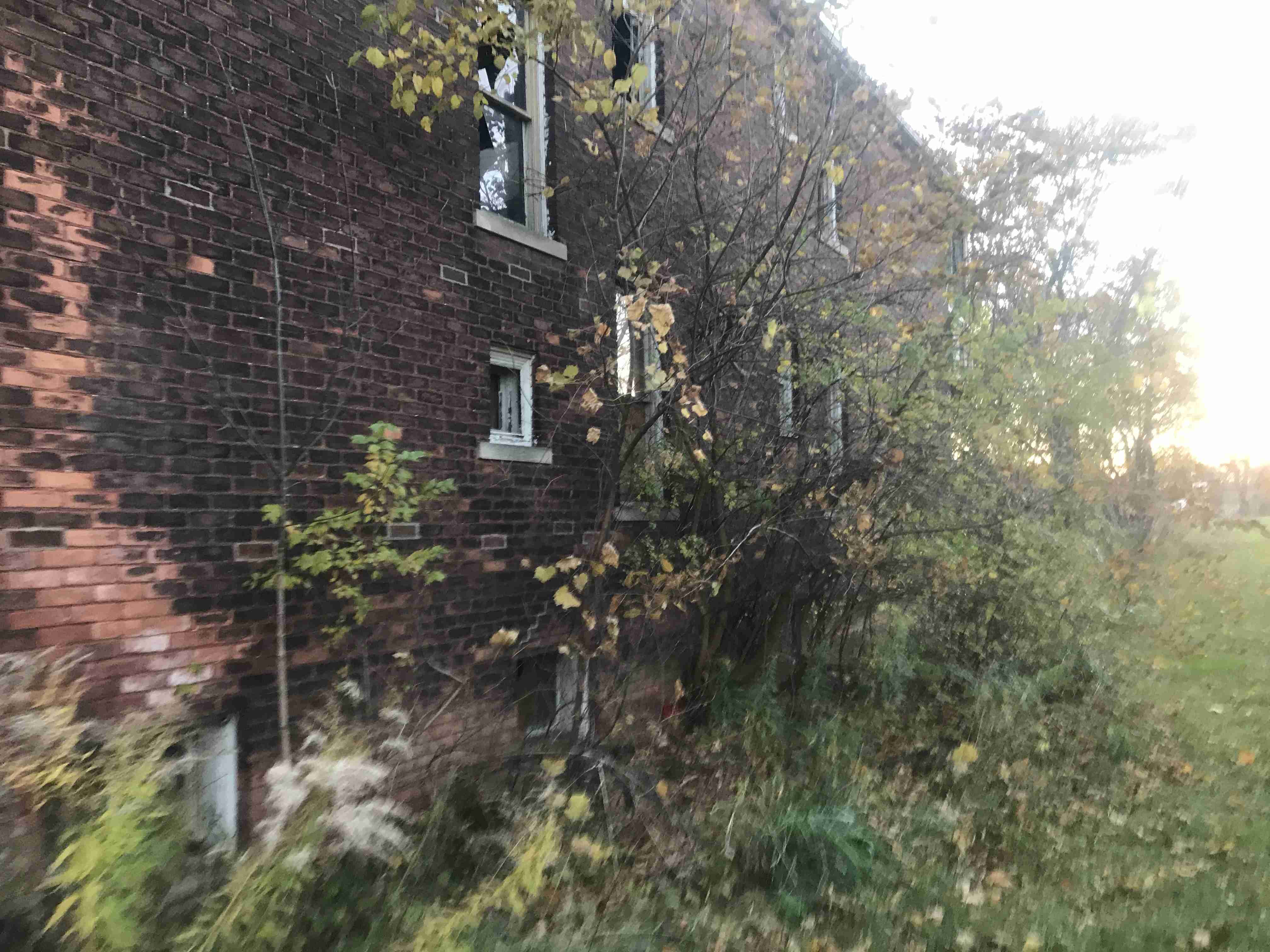 Photo Nov 04, 5 15 15 PM.jpg